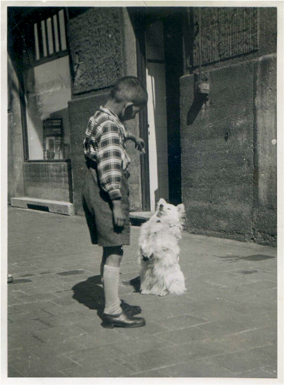 Junge mit weißen Kleinspitz ca. 1935